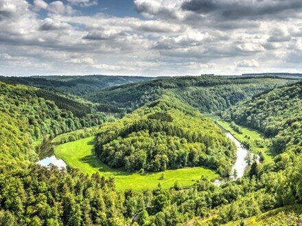 Balade famille Ardennes paysage nature Wallonie printemps